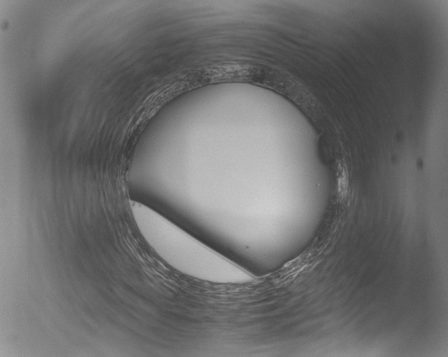 X0000052950819200507080824