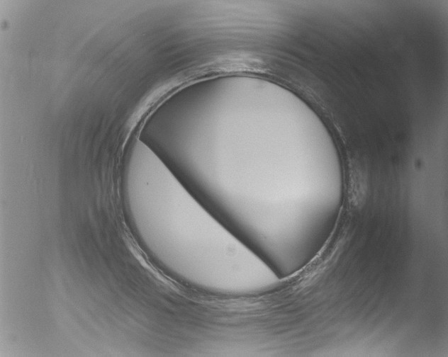 X0000052950986200507080822