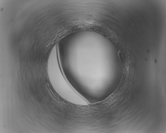 X0000052951012200507080821