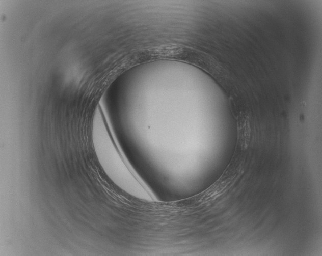 X0000052951058200507080821