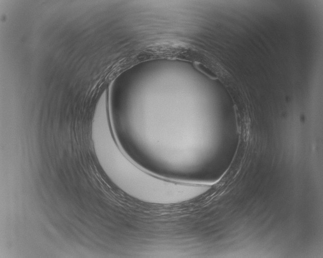 X0000052951108200507080820