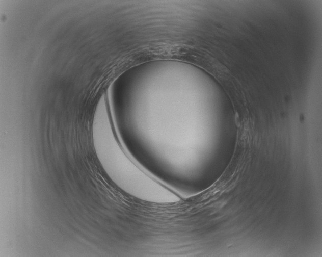 X0000052951202200507080818