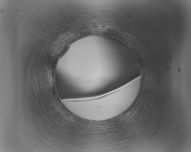 X0000052951252200507080818