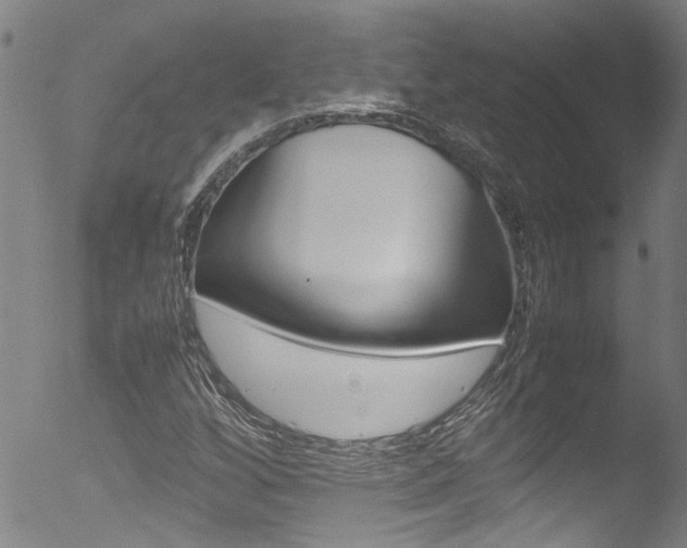 X0000052951256200507080818