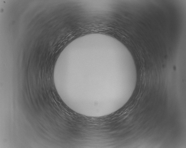 X0000052951298200507080816