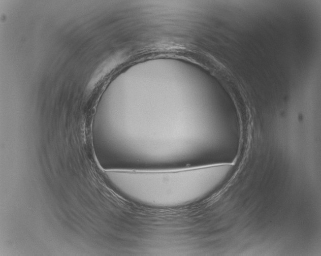X0000052951306200507080816