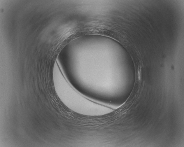 X0000052951347200507080816