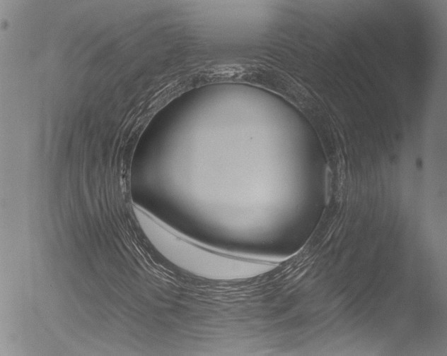 X0000052951394200507080815