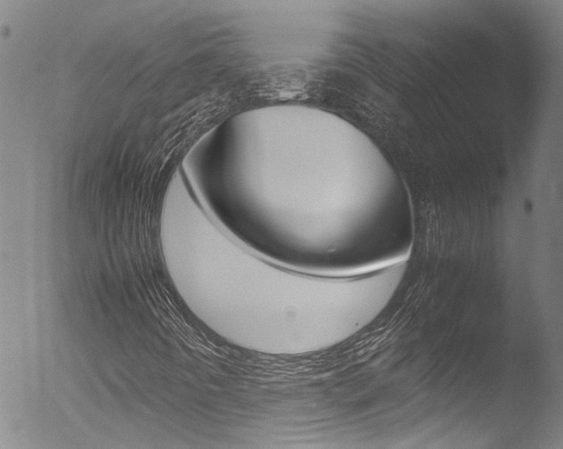 X0000052951442200507080815