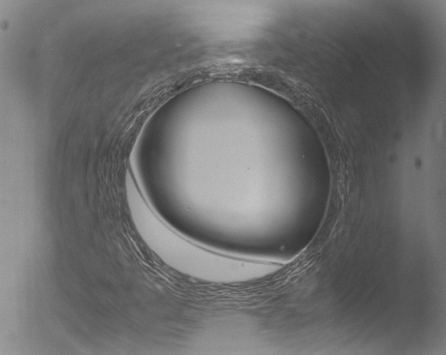 X0000052951445200507080815