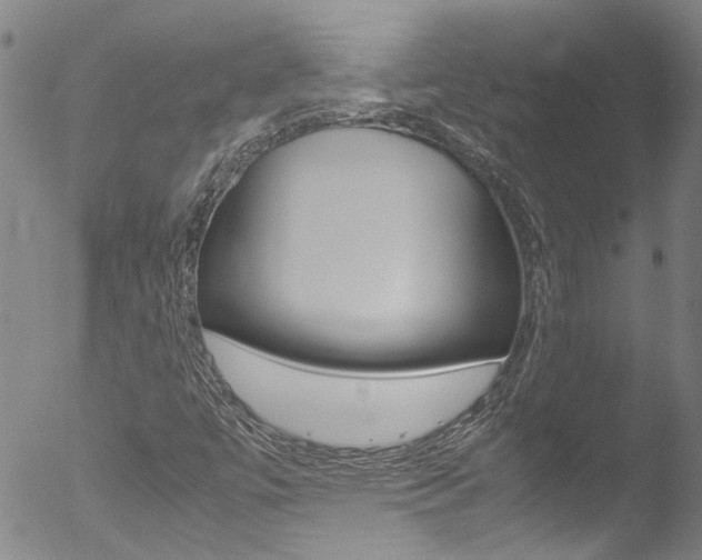 X0000052951447200507080815