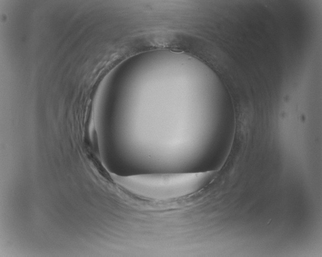 X0000052950031200507081221