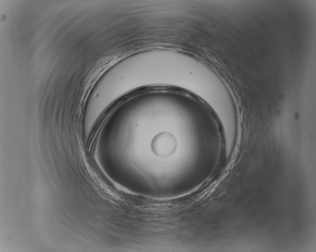 X0000052950049200507081220