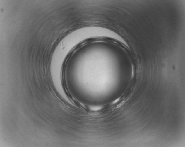 X0000052950377200507081216