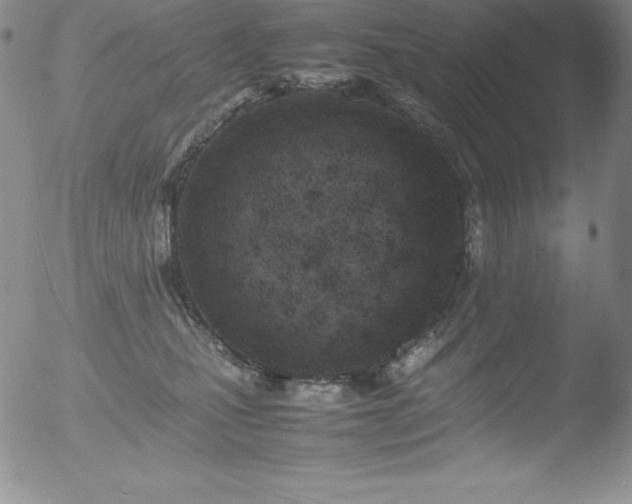 X0000052950471200507081214