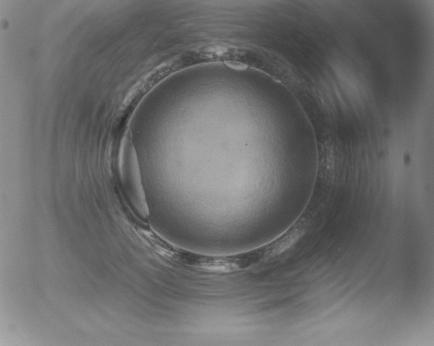 X0000052950754200507081209