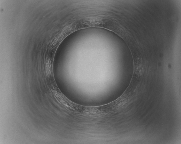 X0000052950866200507081207