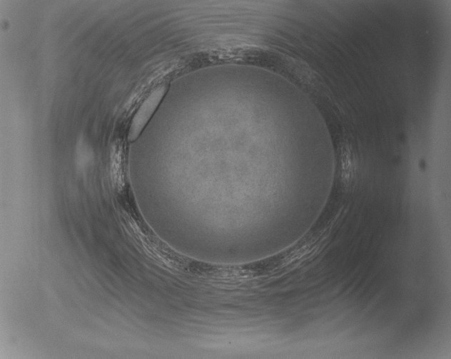 X0000052951060200507081204