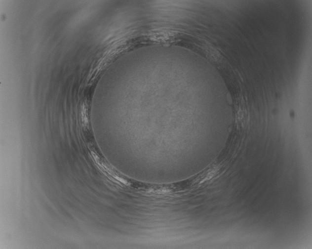 X0000052951106200507081202