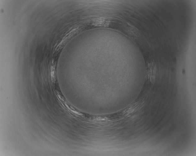 X0000052951154200507081202