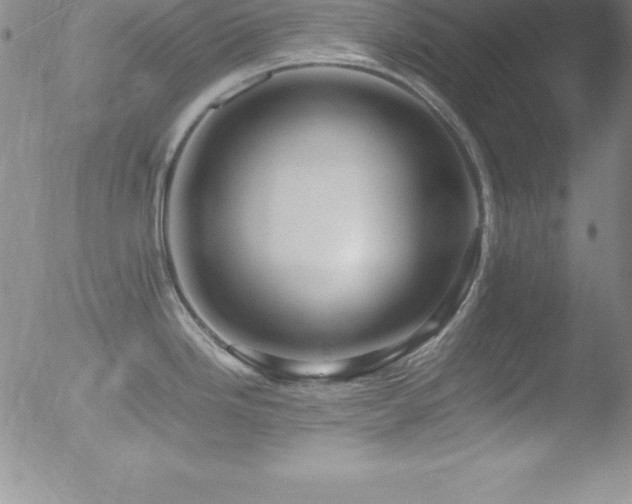 X0000052951246200507081201