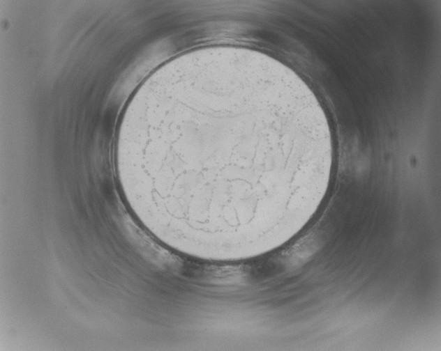 X0000052951338200507081200