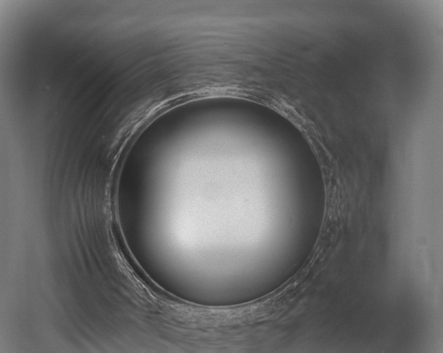 X0000052950002200507151721