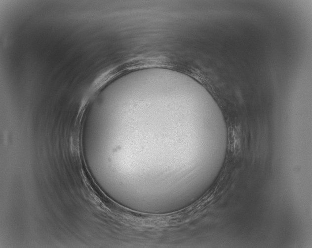 X0000052950004200507151721