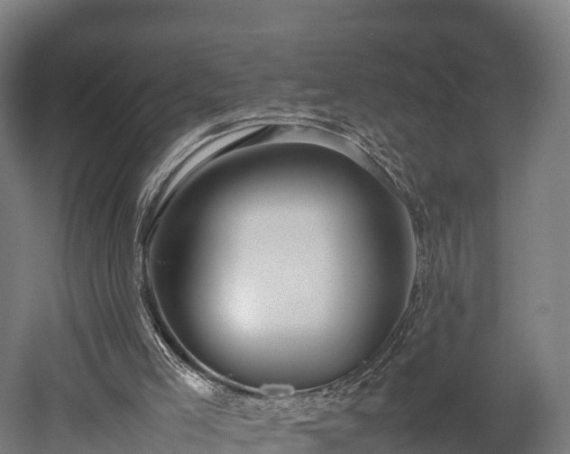 X0000052950005200507151721