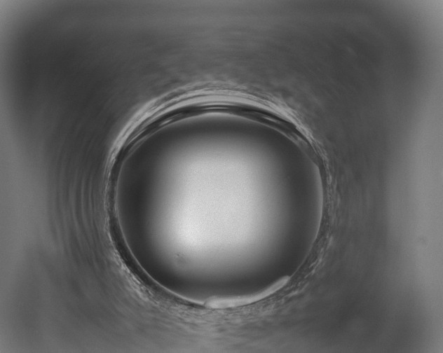 X0000052950007200507151721