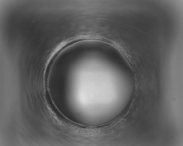 X0000052950008200507151721