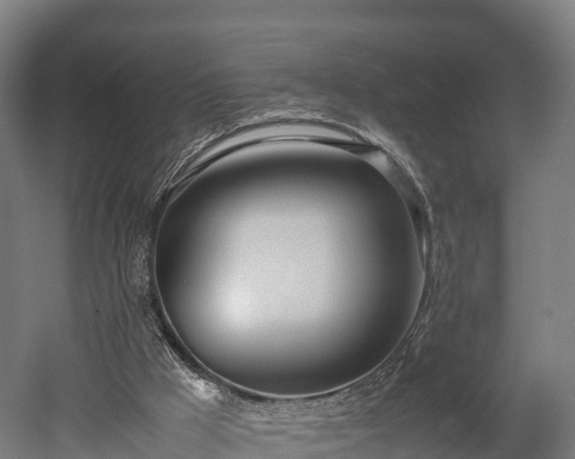 X0000052950009200507151721