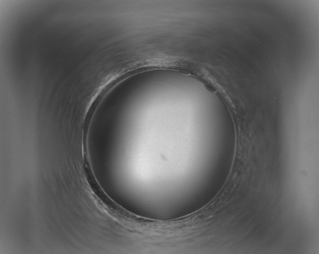 X0000052950011200507151721