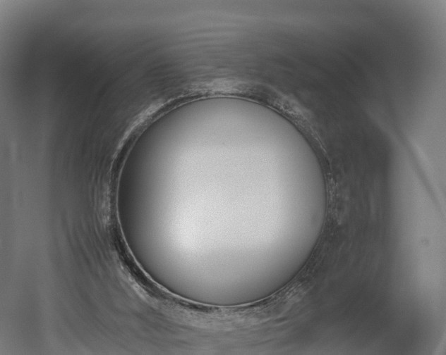X0000052950012200507151721