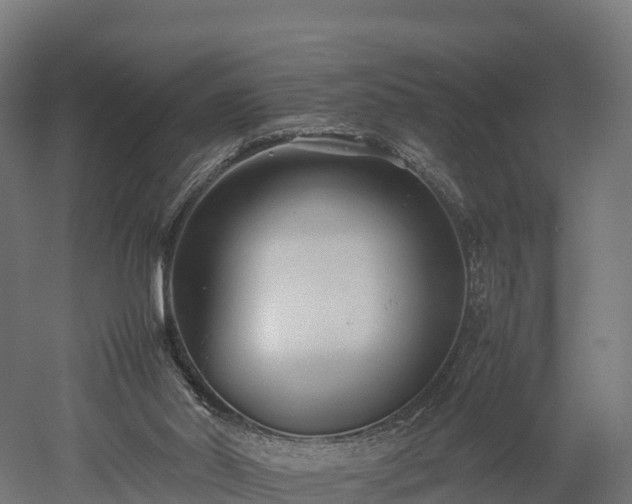 X0000052950014200507151721