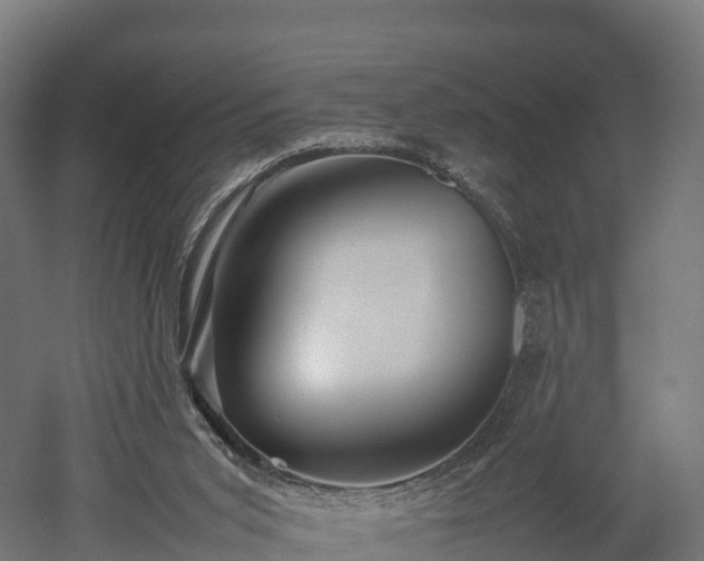 X0000052950015200507151721