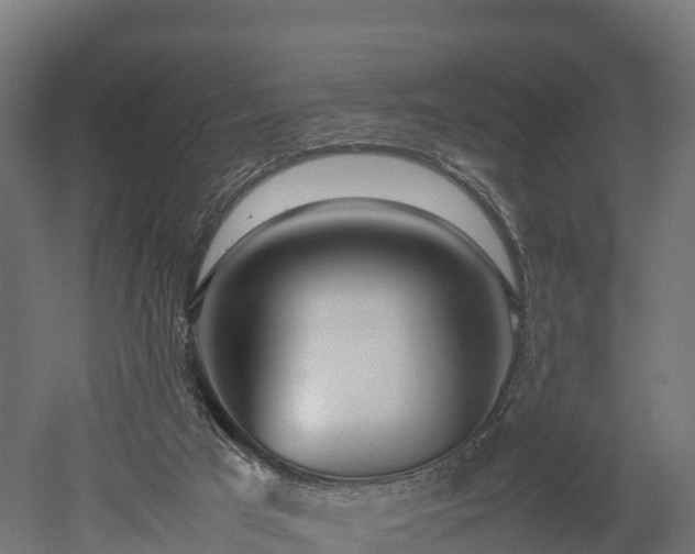 X0000052950017200507151721