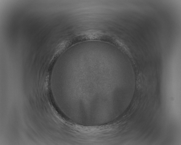 X0000052950018200507151721