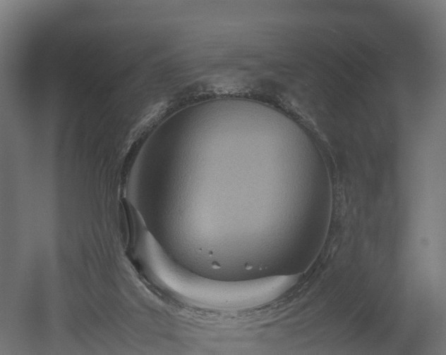 X0000052950019200507151721