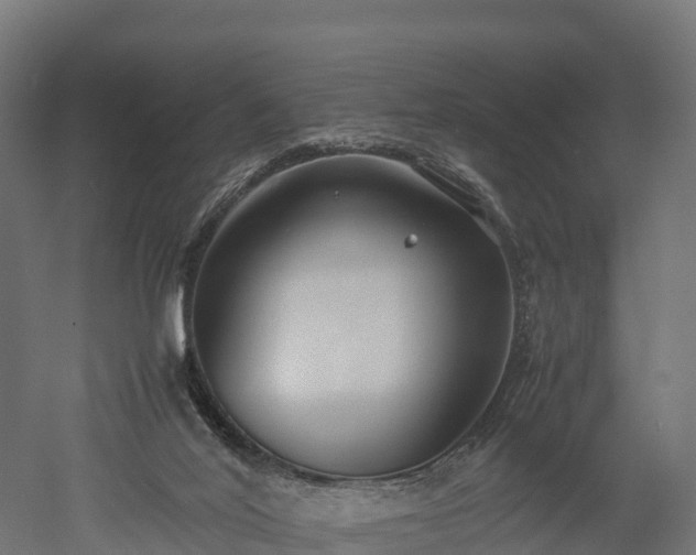 X0000052950020200507151721