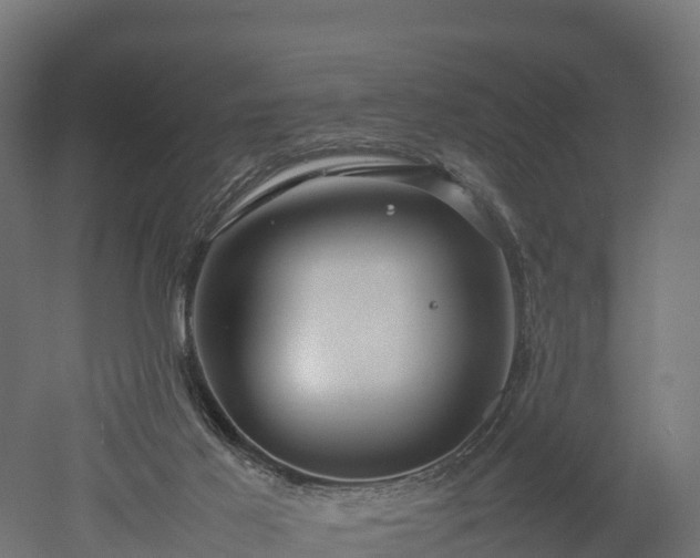 X0000052950021200507151721