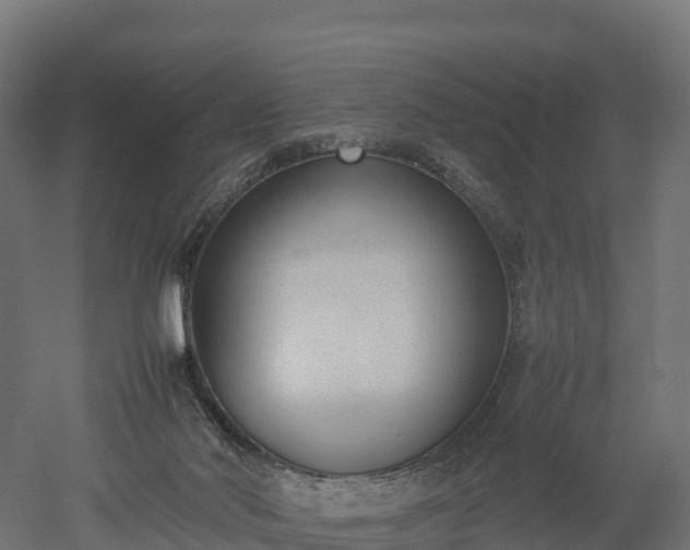 X0000052950022200507151721