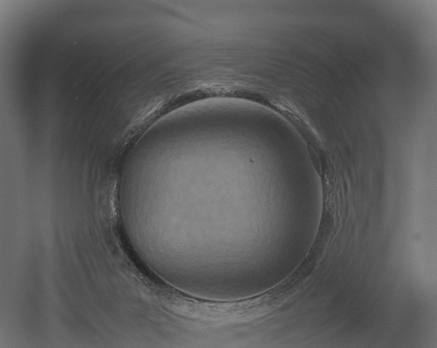 X0000052950023200507151721