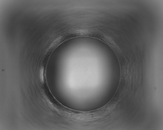 X0000052950024200507151721