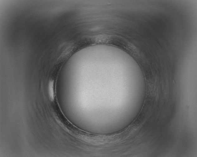 X0000052950028200507151721