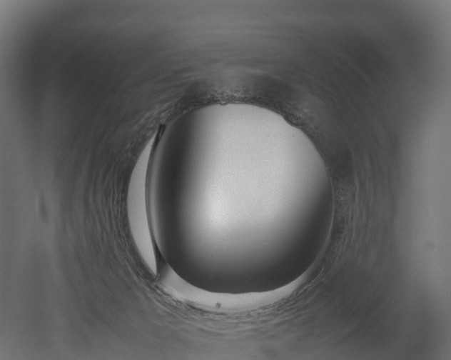 X0000052950029200507151721