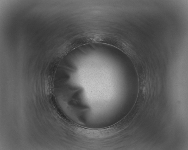 X0000052950030200507151721