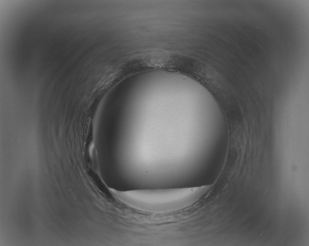 X0000052950031200507151721
