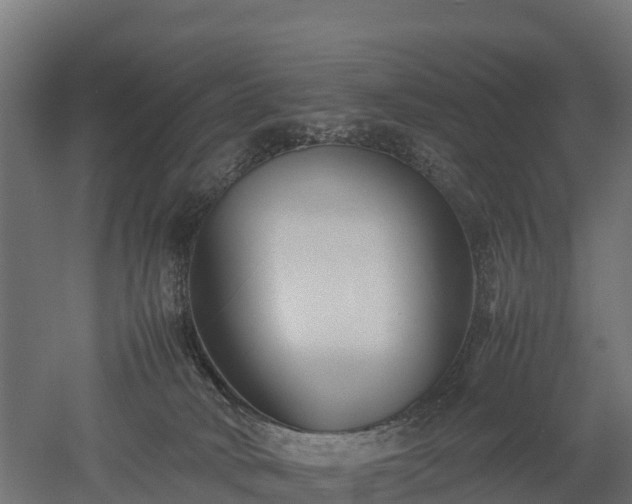 X0000052950034200507151721