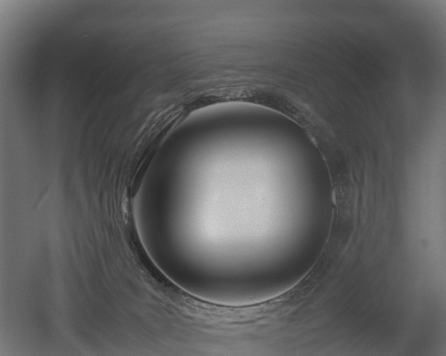 X0000052950035200507151721
